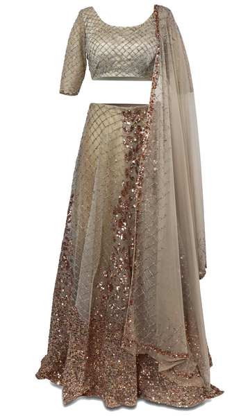 Fire Works Lehenga All Borrow