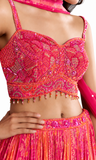 Starburst Lehenga
