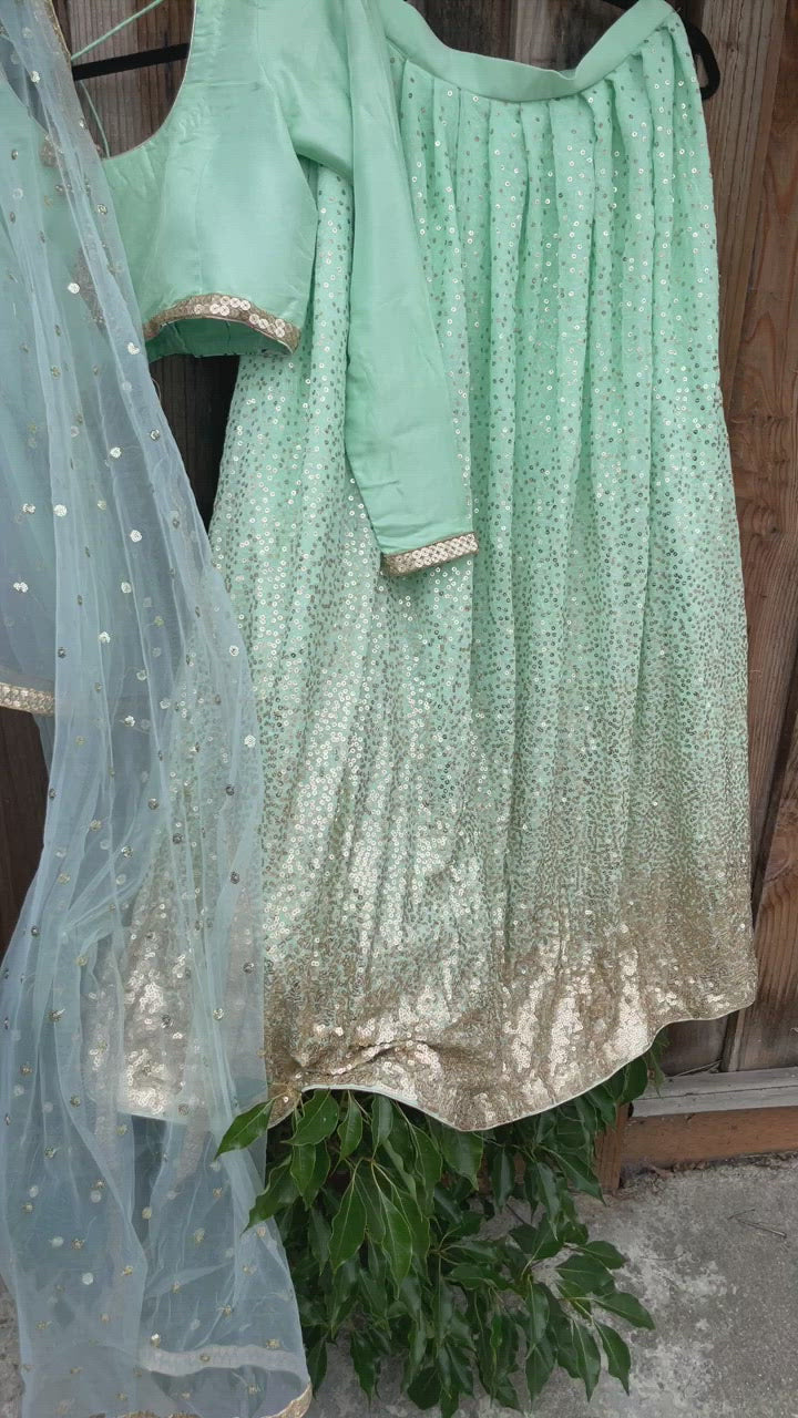 Sky blue Lehenga Rise and shine,gold borders of the blouse and dupatta!