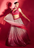 Hot Pink/ Raspberry Red silver ombre Lehenga with Handwork, Sequins embroidery, with Plunging Neckline top & dupatta