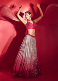 Stunning Hot Pink/ Raspberry silver ombre Lehenga with Sequins embroidery, & Plunging Neckline top & dupatta