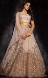 Shining Burnt onion designer lehenga by Surabhi Chopra, entire lehenga is covered with silver & gold rose sequins