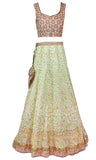 Stunning Designer Lehenga, pair with matching blouse all covered in mirror work, sequins and rhinestones.
